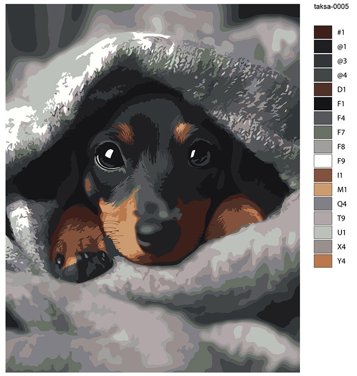 Картина по номерам «Собаки: щенок таксы под теплым пледом» — картинка 2