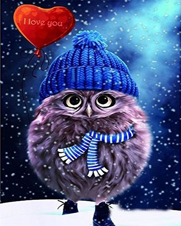 Картина по номерам «Круглый совёнок» — картинка 2