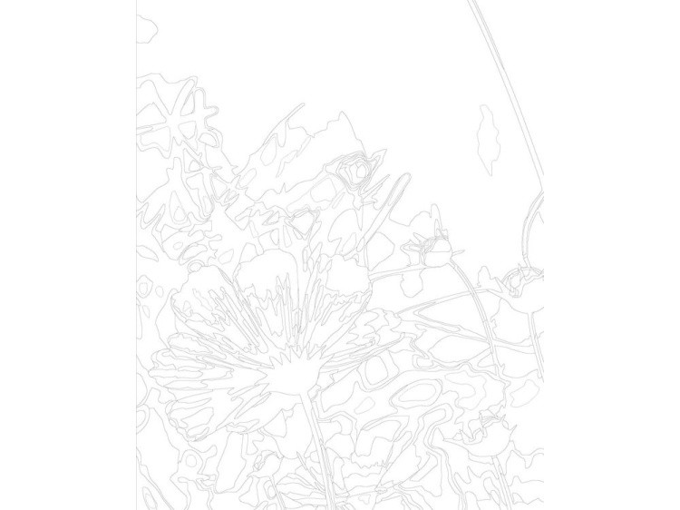 Картина по номерам «Полевые цветы» — картинка 3