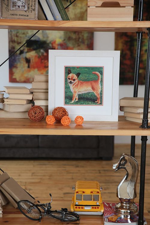 Алмазная вышивка «Чихуахуа» — картинка 2