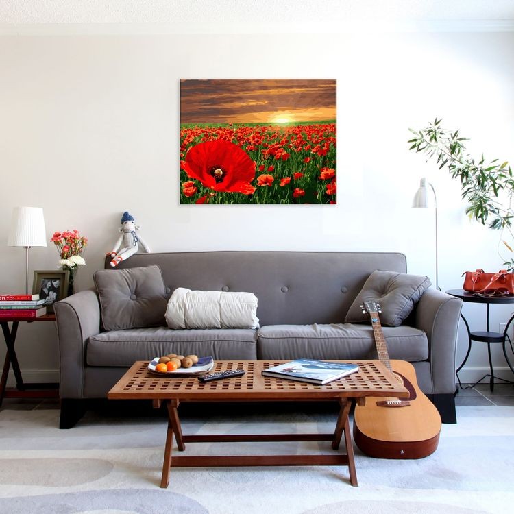 Картина по номерам «Маковое поле на закате» — картинка 4