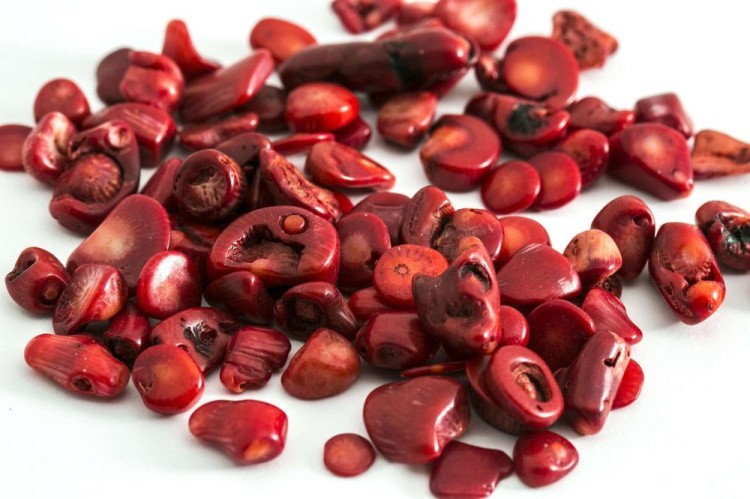 Красный коралл крупный (фракция 2-15 мм) 90 г, Art Blong — картинка 2