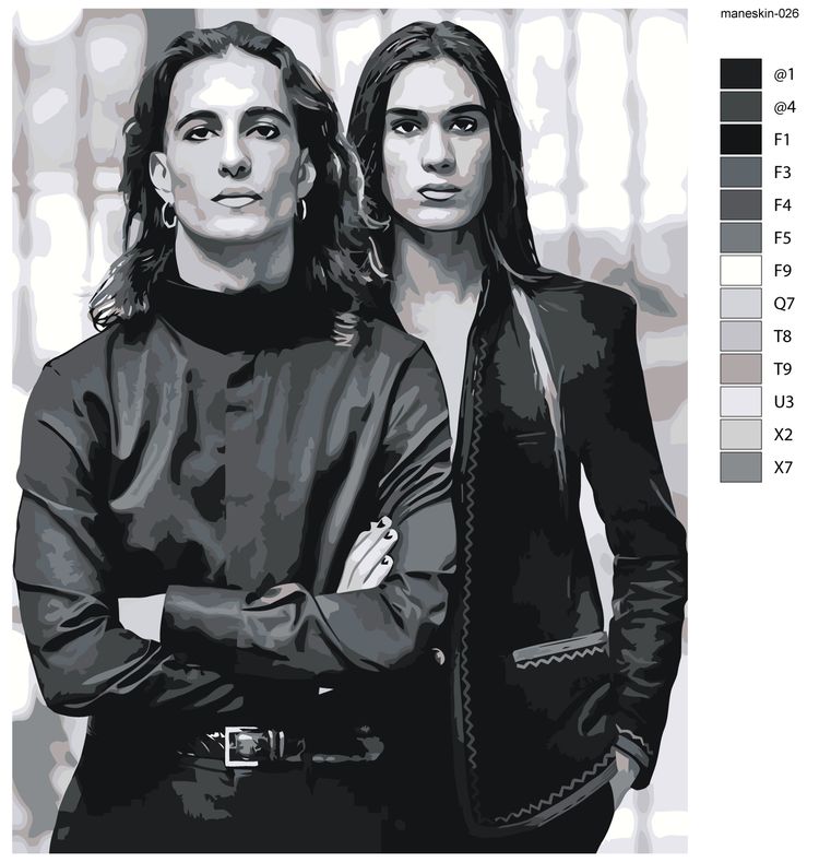 Картина по номерам «Группа Maneskin Манескин: Итан и Дамиано» — картинка 2