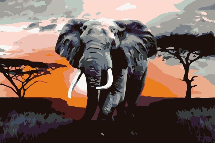 Картина по номерам «Африканский слон»