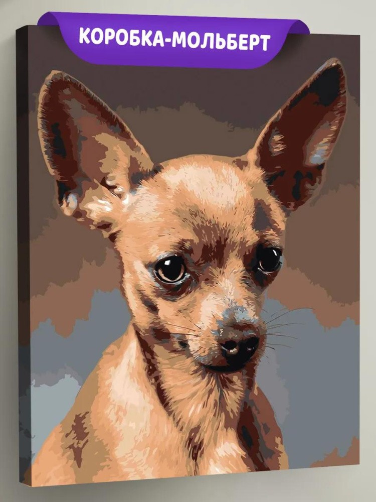 Картина по номерам «Собаки: Той терьер 40x50»