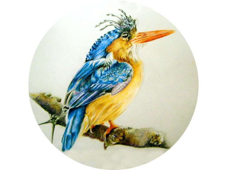 Набор для вышивания «Птичка на ветке»