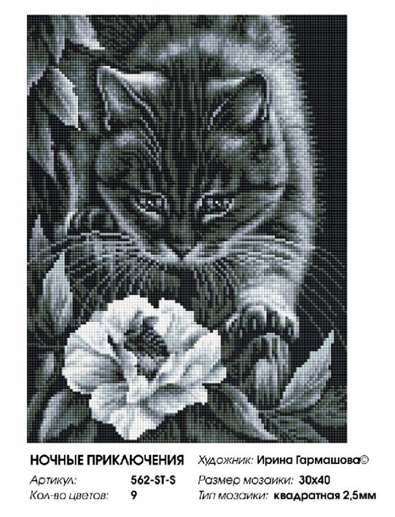 Алмазная вышивка «Ночные приключения» — картинка 2