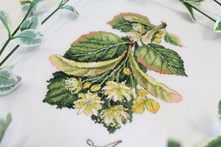 Набор для вышивания «Дары природы. Липа» — картинка 4