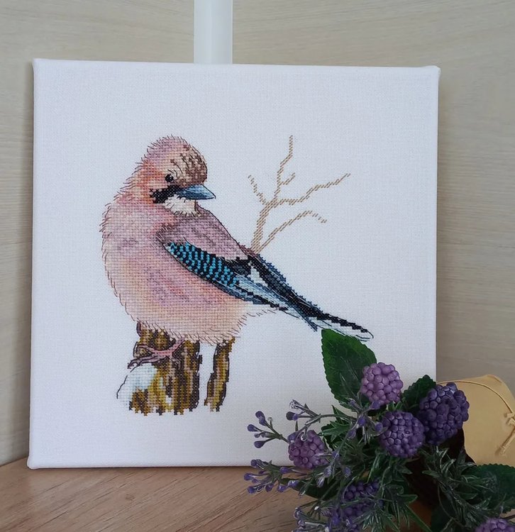 Набор для вышивания «Сойка-пересмешница» — картинка 3