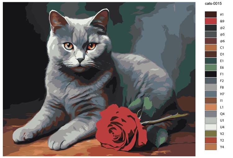 Картина по номерам «Британский кот с красной розой» — картинка 2