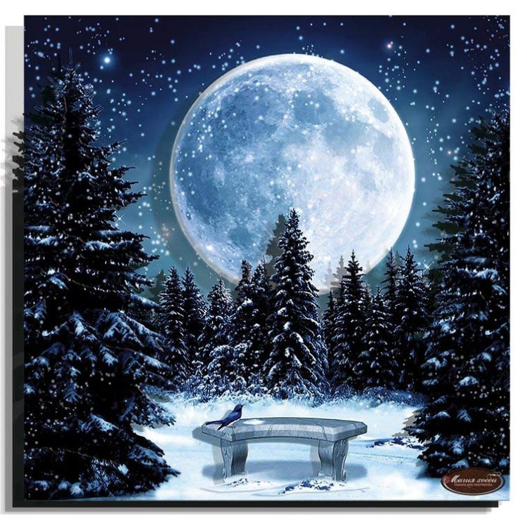 Набор папертоль «Луна» 29x29 см — картинка 2