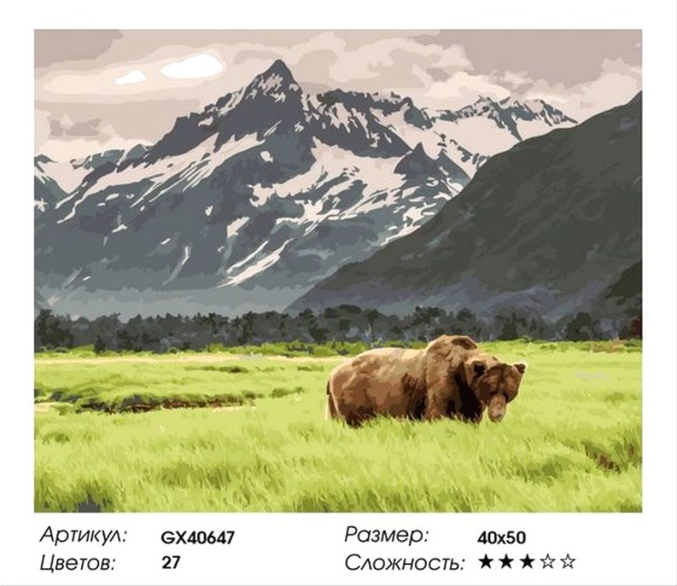 Картина по номерам «Медведь в поле» — картинка 2