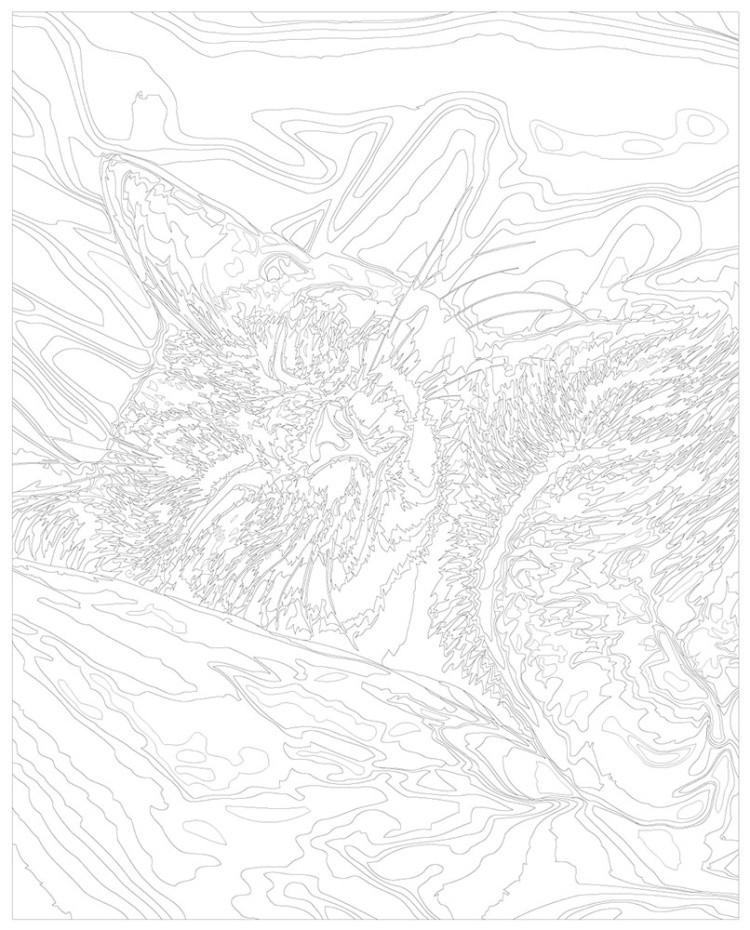 Картина по номерам Кошки серый котенок на кровати — картинка 3