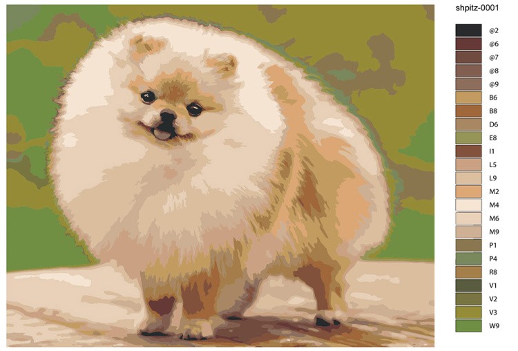 Картина по номерам «Собаки: Шпиц пушистый щенок 40х50» — картинка 2