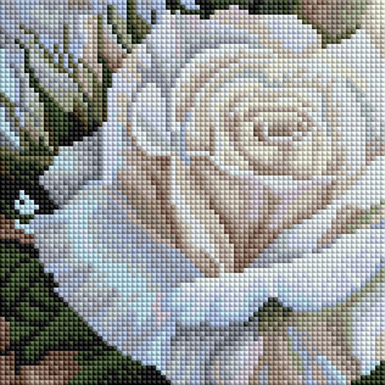 Алмазная вышивка «Роза белая»