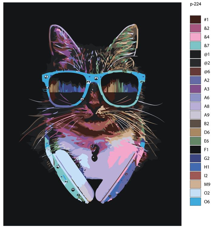 Картина по номерам «Диско-кот» — картинка 2