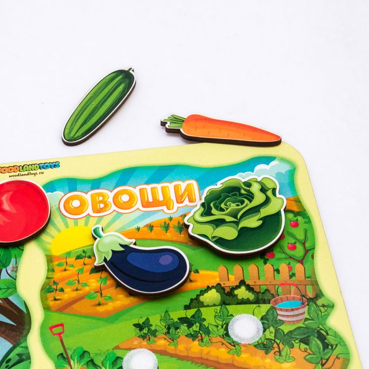 Сортер «Какая разница? Фрукты-овощи» — картинка 3