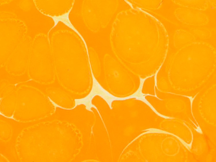 Краска для эбру оранжевая 30 мл, Karin — картинка 2