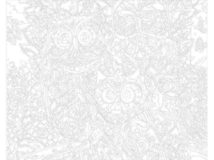 Картина по номерам «Семейство сов» — картинка 3