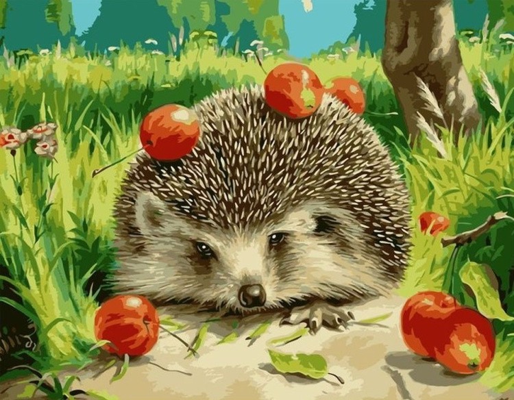 Картина по номерам «Ёжик с яблоками»