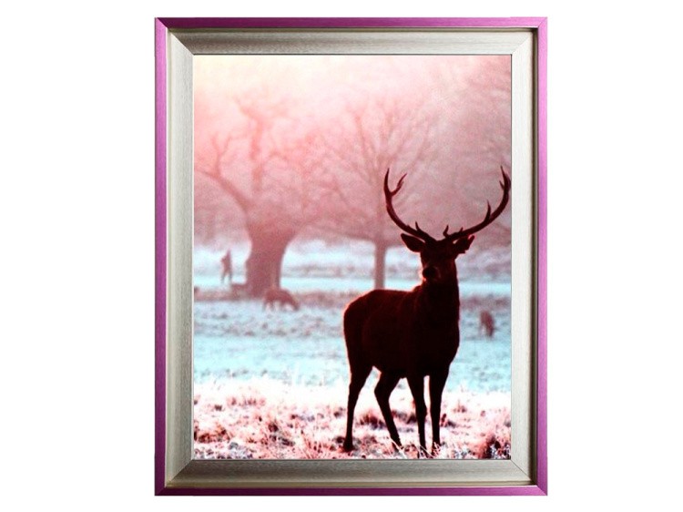 Рамка без стекла для картин «Alisa» — картинка 3