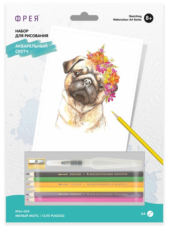 Скетч для раскрашивания акварельными карандашами «Милый мопс» — картинка 2