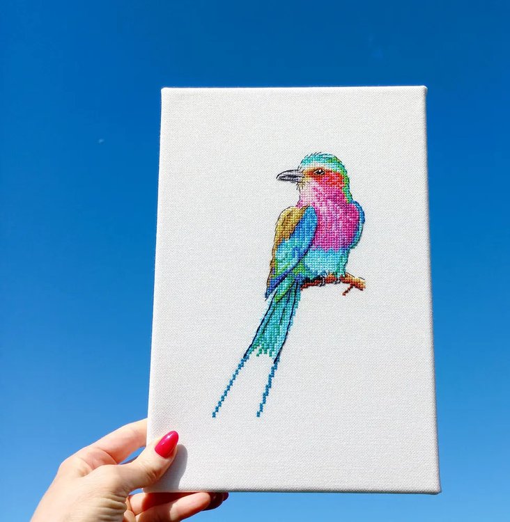 Набор для вышивания «Бенгальская ракша» — картинка 2