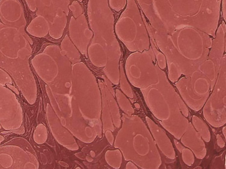 Краска для эбру коричневая 30 мл, Karin — картинка 5