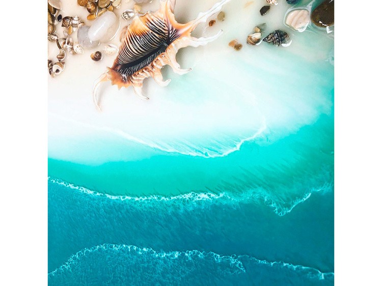 Морская звезда Джангл (2-4 см), 1 шт. — картинка 3