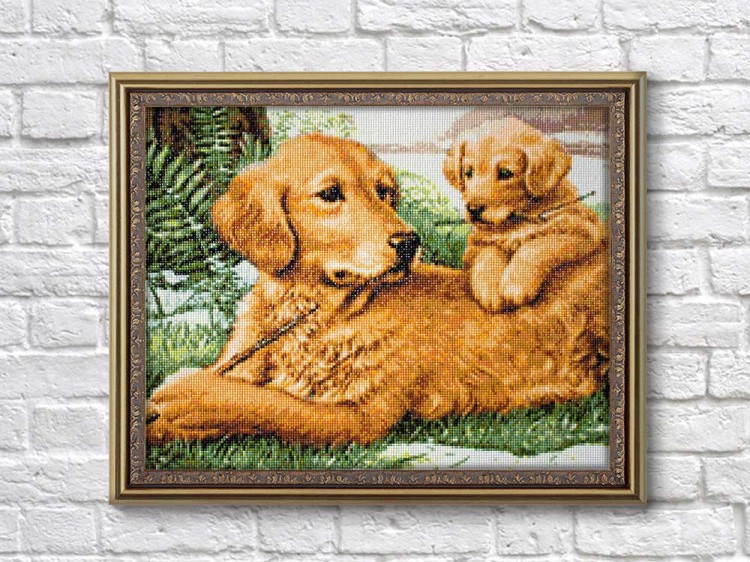 Алмазная вышивка «Любопытный ученик» — картинка 3