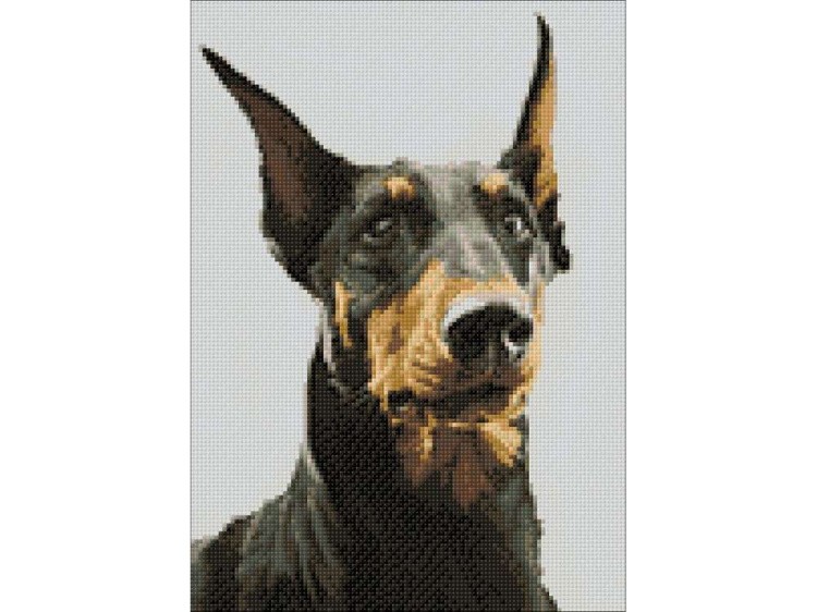 Алмазная вышивка «Доберман» — картинка 3