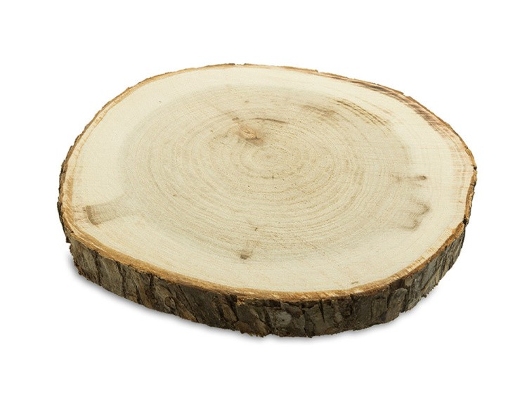 Срез дерева СРЕЗ-06, d 23 см, 1 шт., Blumentag — картинка 2