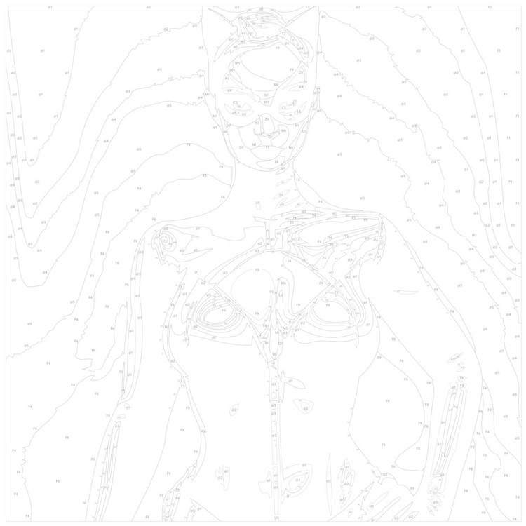 Картина по номерам «Стильная женщина-кошка» — картинка 3