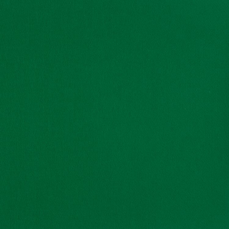 Фетр декоративный, жесткий, 1,2 мм, 33х53 см ± 2 см, 1 шт., цвет: 868 темно-зеленый, Gamma