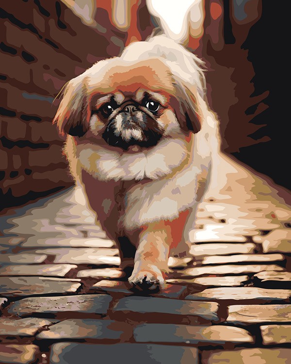 Картина по номерам «Собака Пекинес гуляет по городу»