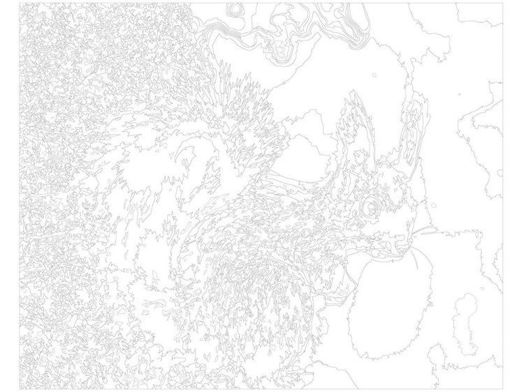 Картина по номерам «Белка» — картинка 3