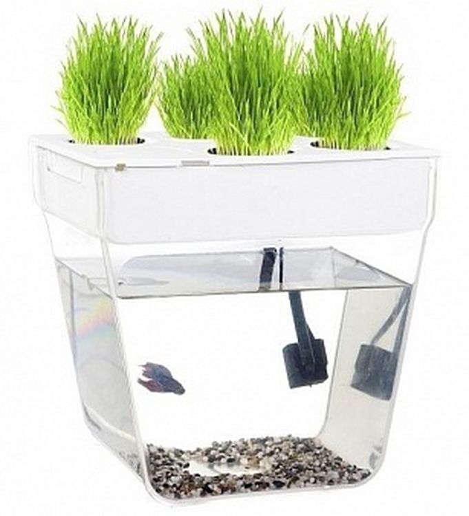 Набор для экспериментов «Аква Ферма» — картинка 5