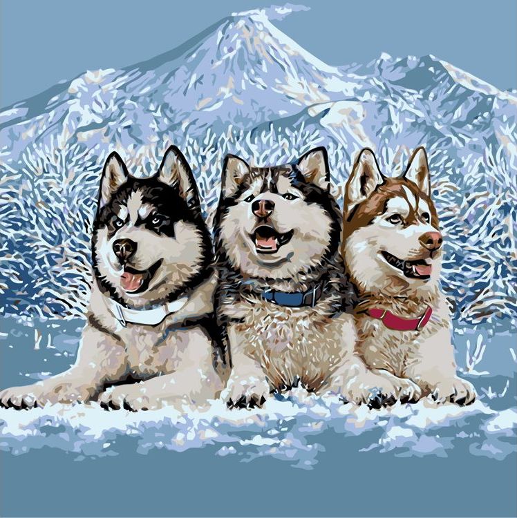 Картина по номерам «Северные собаки»