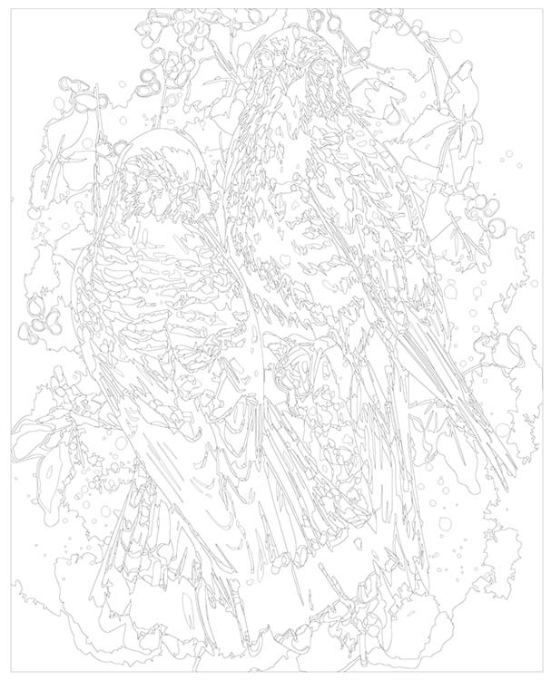 Картина по номерам «Пара соколов» — картинка 3