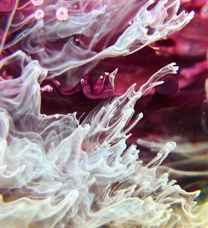 Краска для Петри Petri 5 Сиреневый 5 мл, Kamenskaya Ink — картинка 3