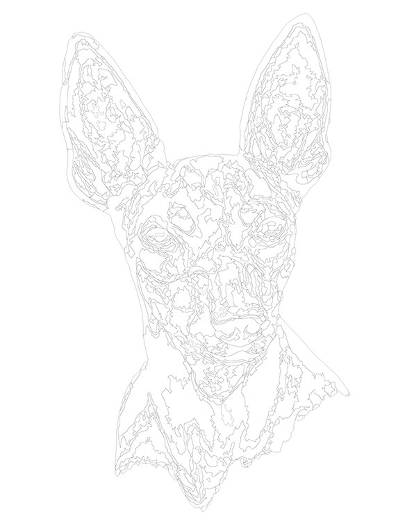 Картина по номерам «Собаки: Той терьер арт рисунок 40x50» — картинка 3