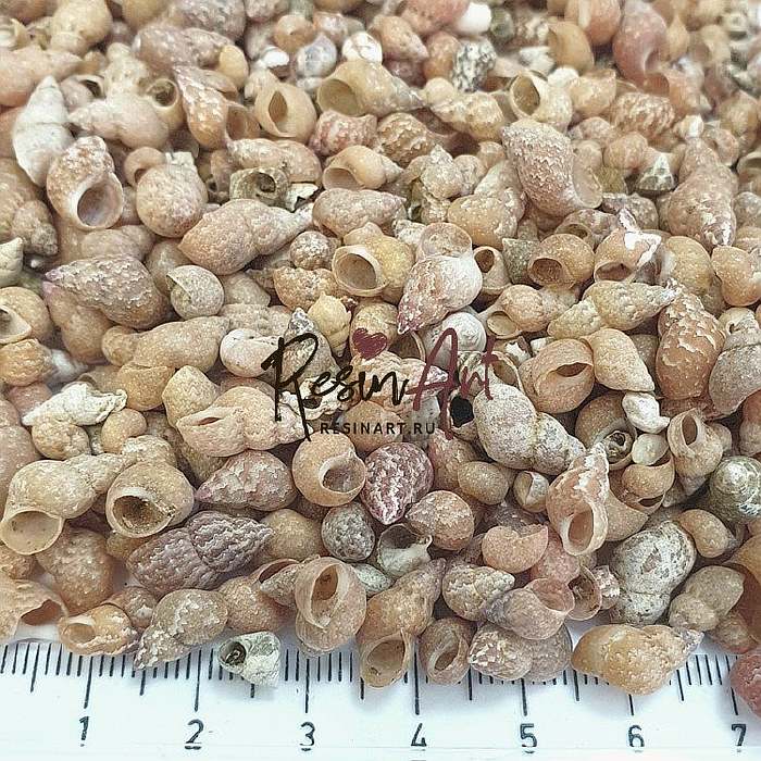 Ракушки Фасионелла Атопика, 100 г, ResinArt