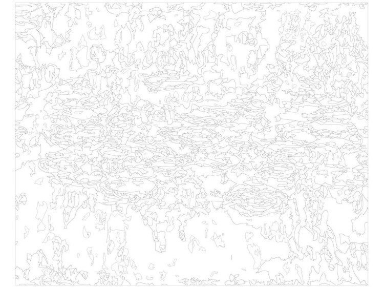 Картина по номерам «Пруд с кувшинками» — картинка 3