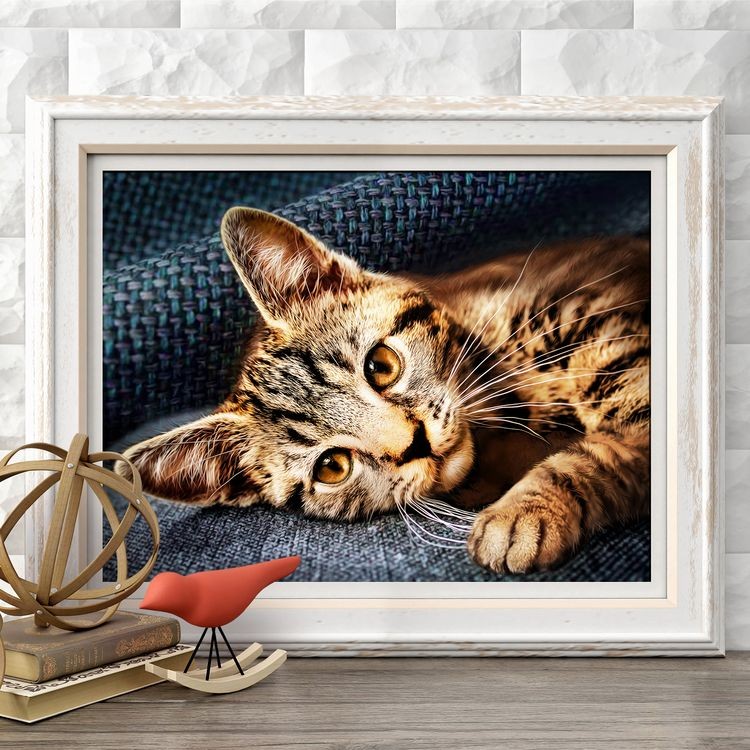 Алмазная вышивка «Барсик» — картинка 2