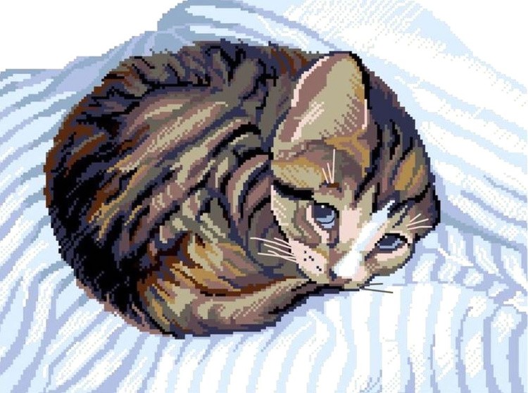 Набор для вышивания «Котик», NITEX