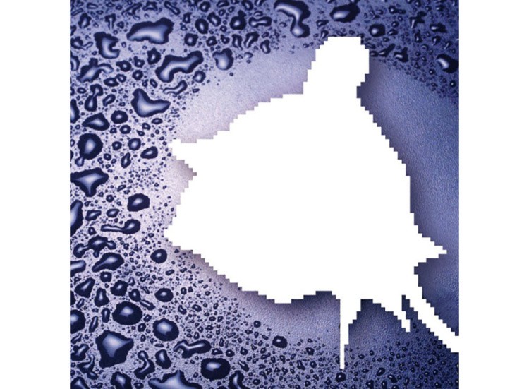 Алмазная вышивка «Синяя роза» — картинка 2