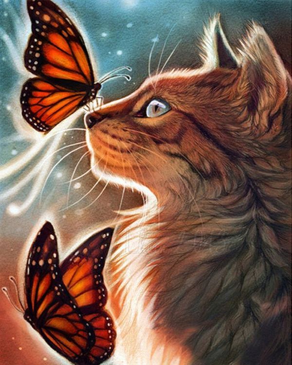 Алмазная вышивка «Кот и бабочка» — картинка 2