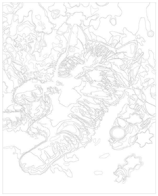 Картина по номерам «Котенок спит в траве на полянке» — картинка 3