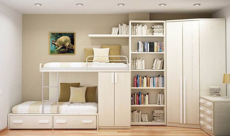 Картина по номерам «Енот» — картинка 2