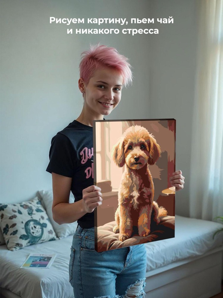 Картина по номерам Собака милый той пудель в комнате — картинка 7